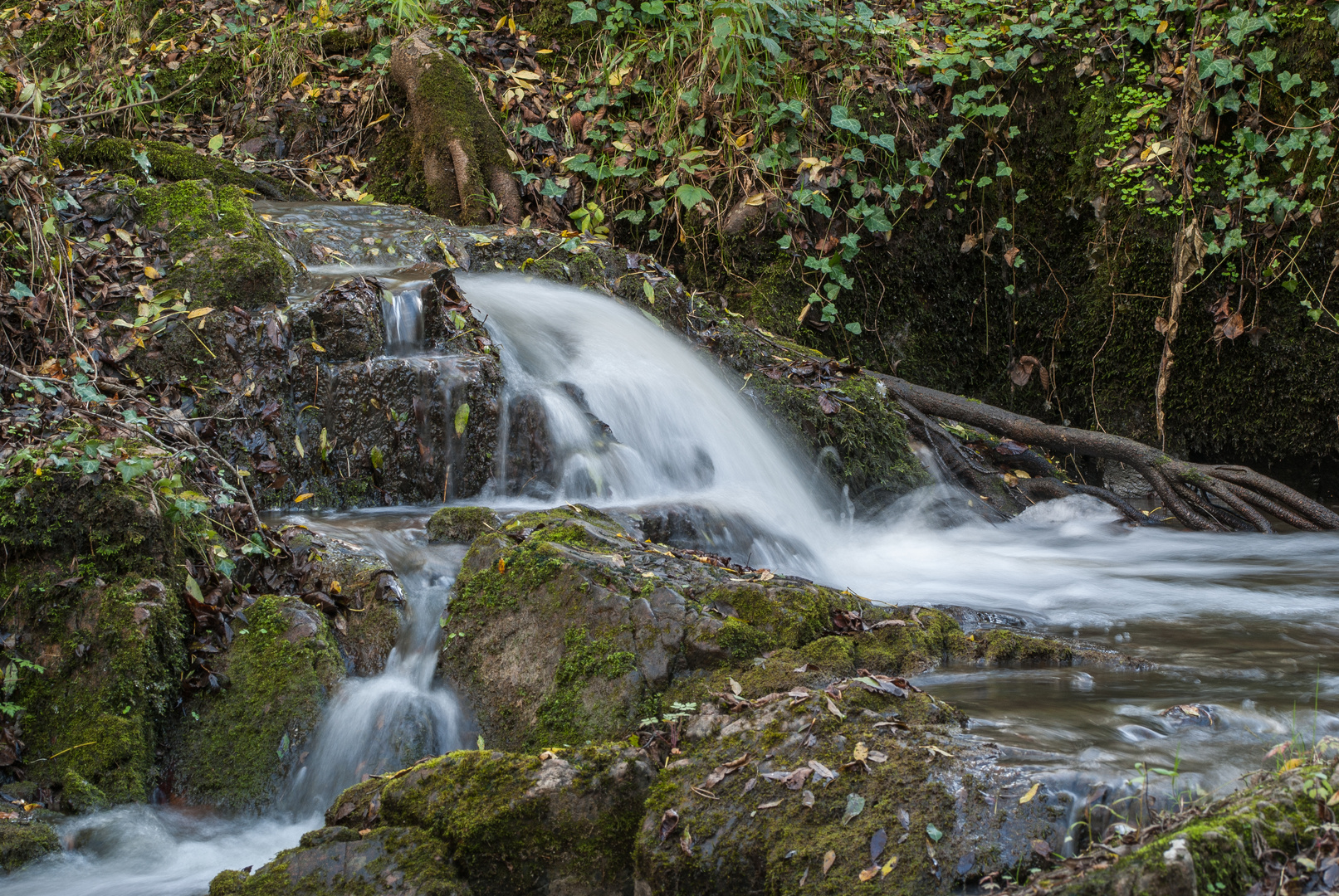 Le ruisseau