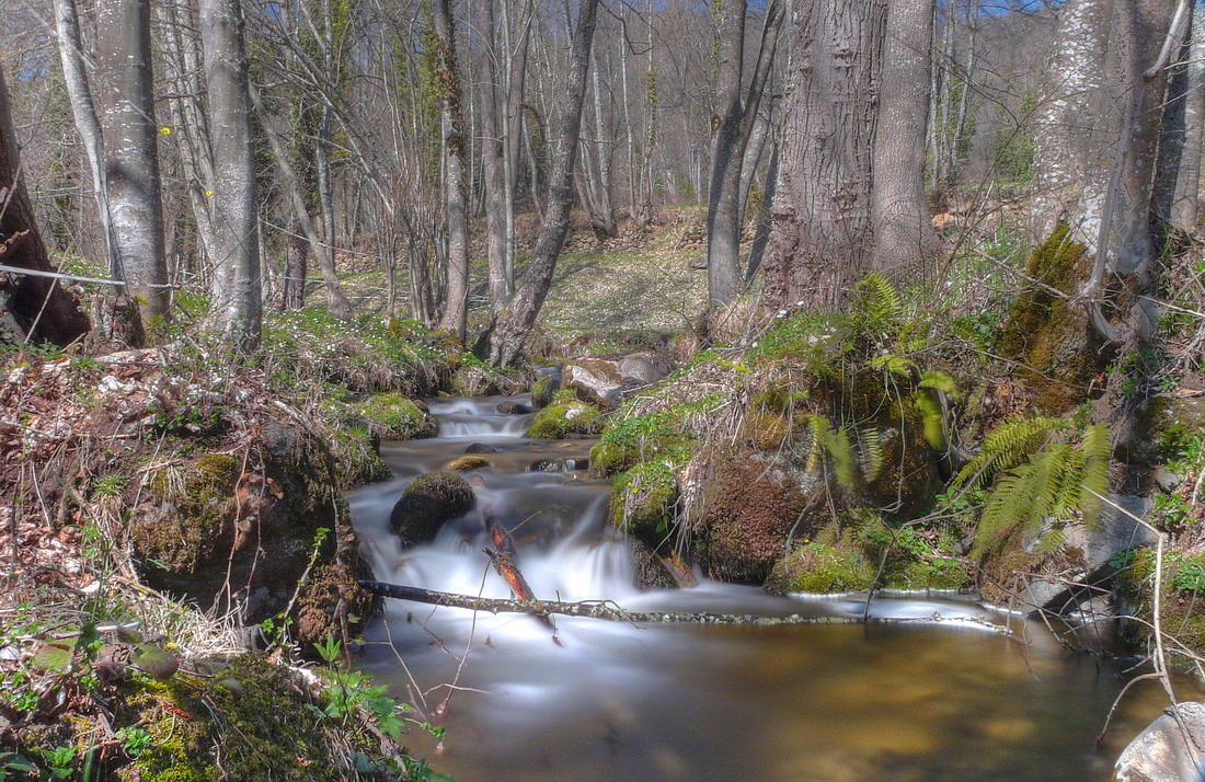 Le ruisseau de l' Arse, Ariège