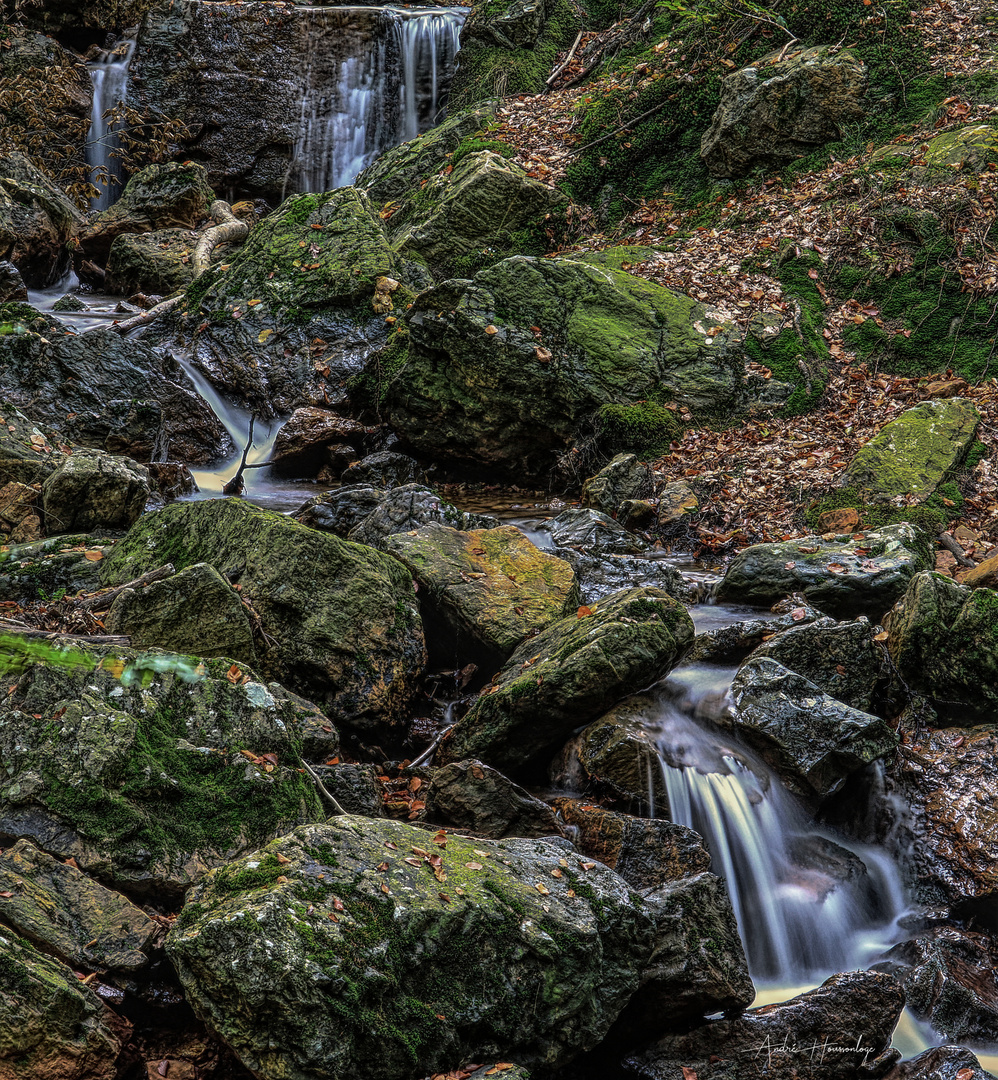 Le Ruisseau De La Sauvenière