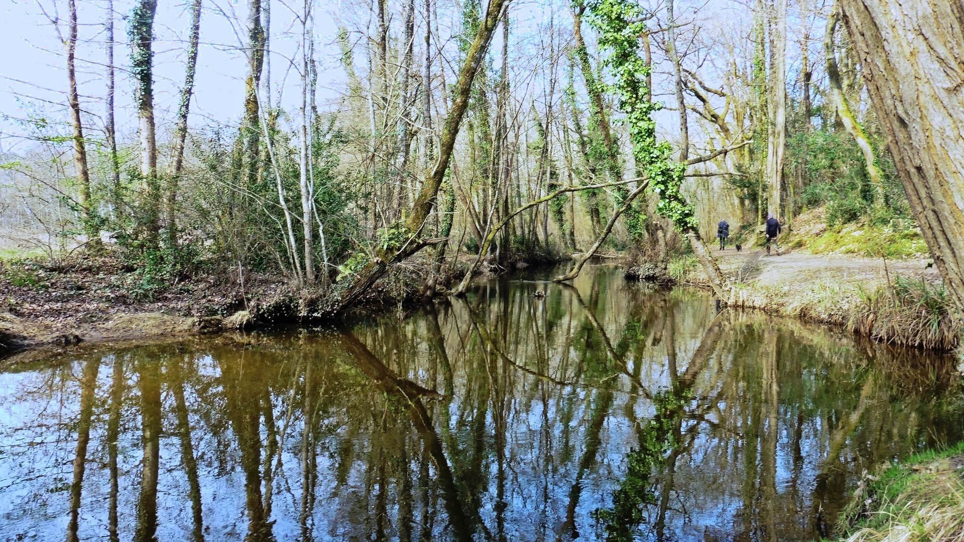 Le ruisseau de Poustagnac