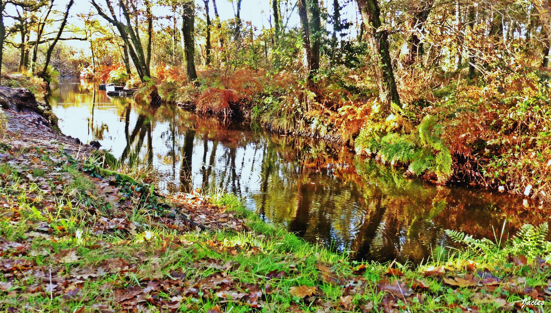 Le ruisseau d'Hardy à Seignosse