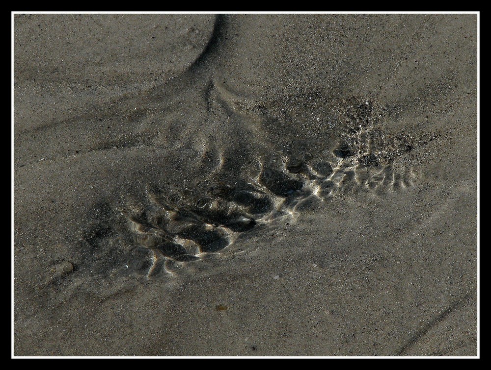 " Le ruisselet sur la plage à marée basse "