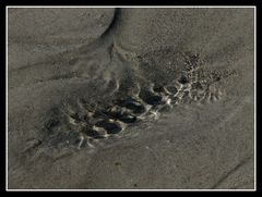 " Le ruisselet sur la plage à marée basse "