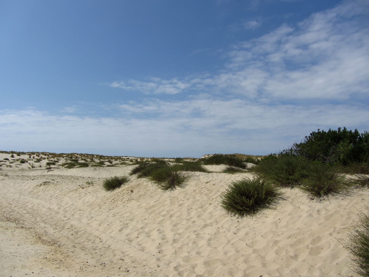 Le sable, la nature