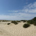 Le sable, la nature