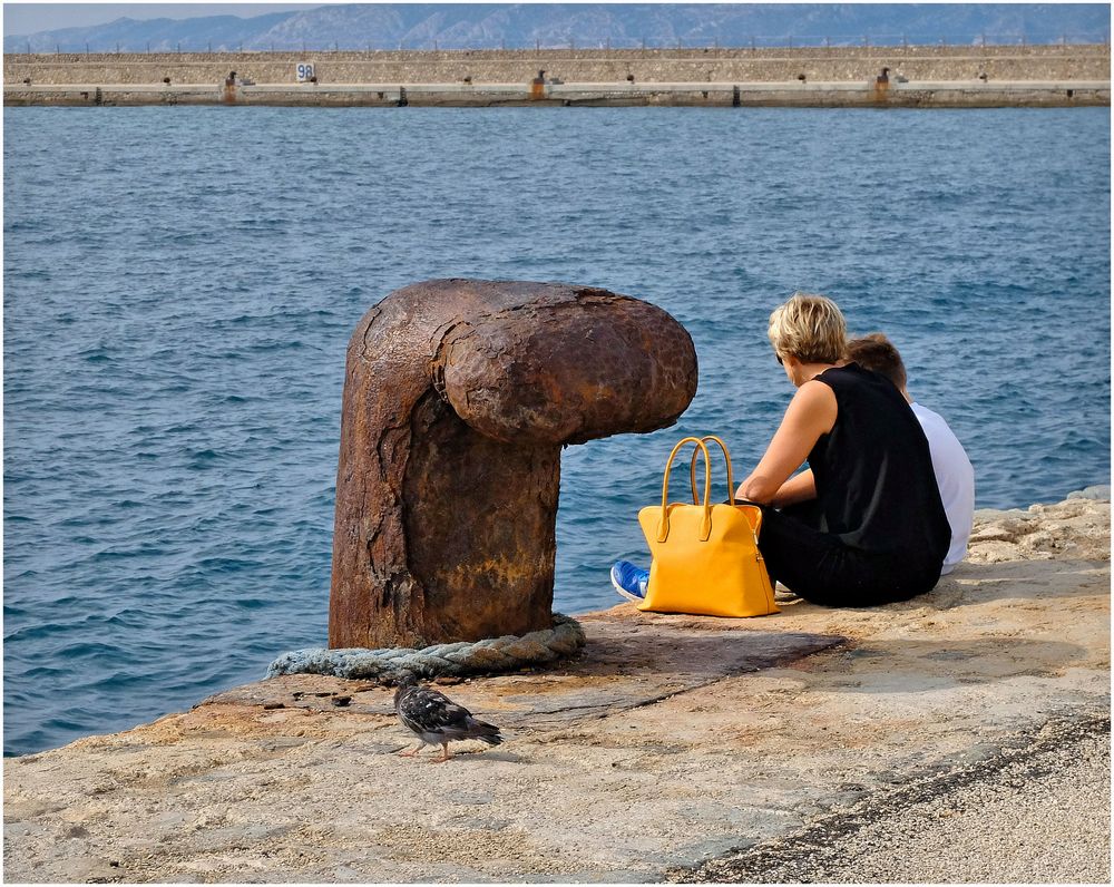 Le sac jaune et le pigeon