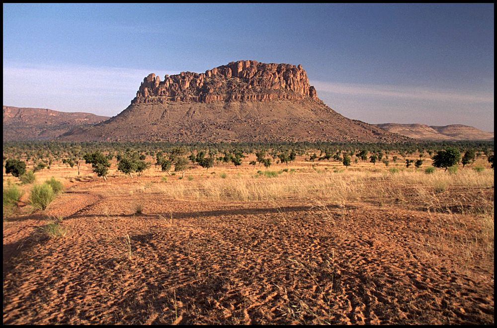 Le sahel malien