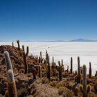 Le salar d'Uyuni, 12'000 km2 de sel