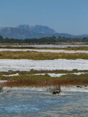 Le Saline