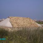 LE SALINE