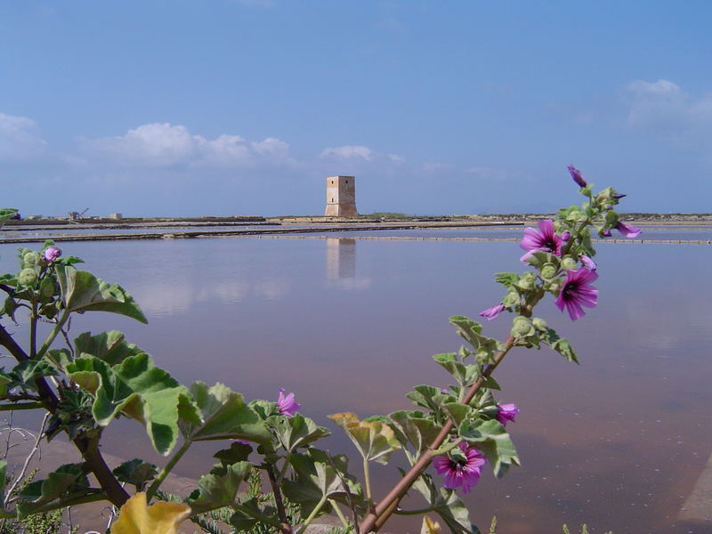 Le Saline