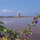 Le Saline