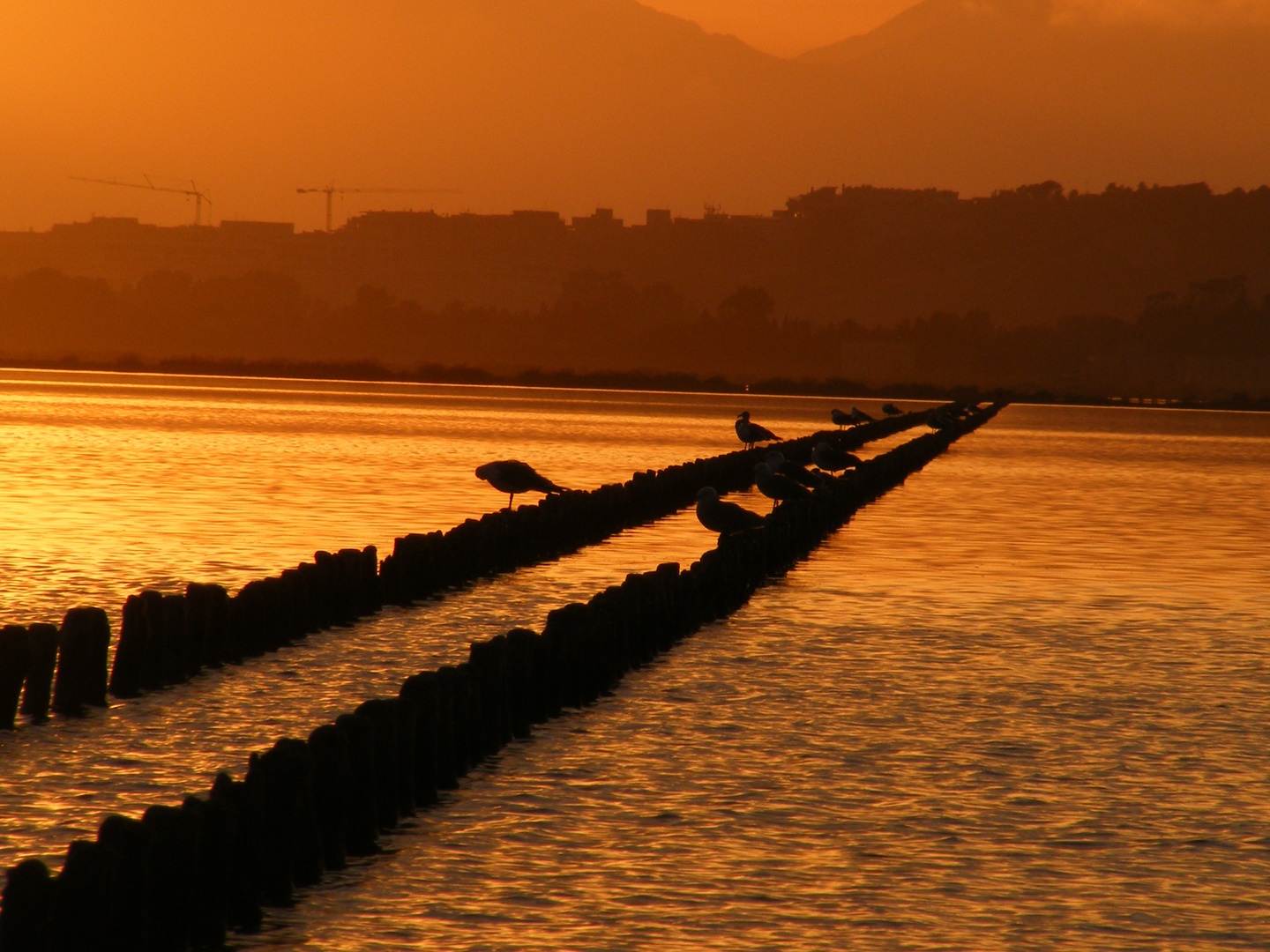 Le Saline