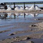 Le saline di Margherita di Savoia