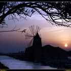 Le saline di Marsala al Tramonto