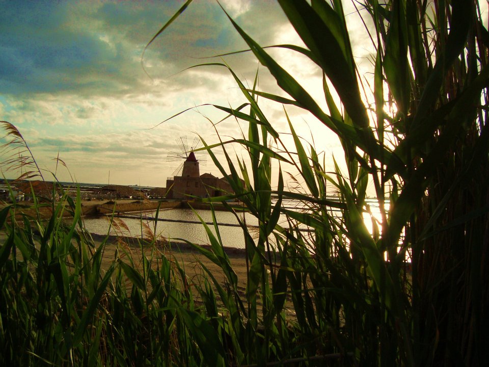 le saline di marsala al tramonto