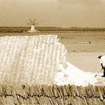 Le saline di Trapani