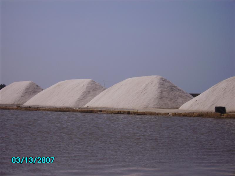 LE SALINE