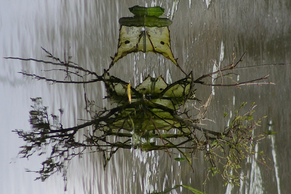 Le Samouraï des Marais