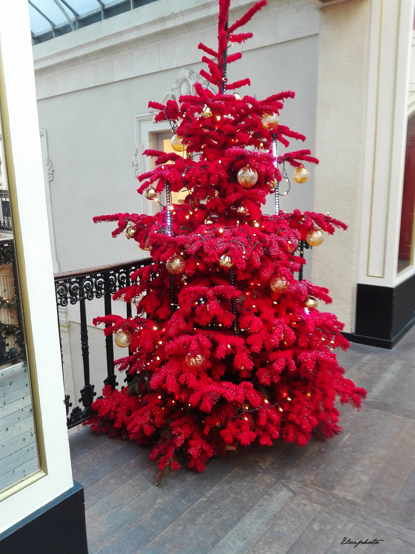 Le sapin rouge 