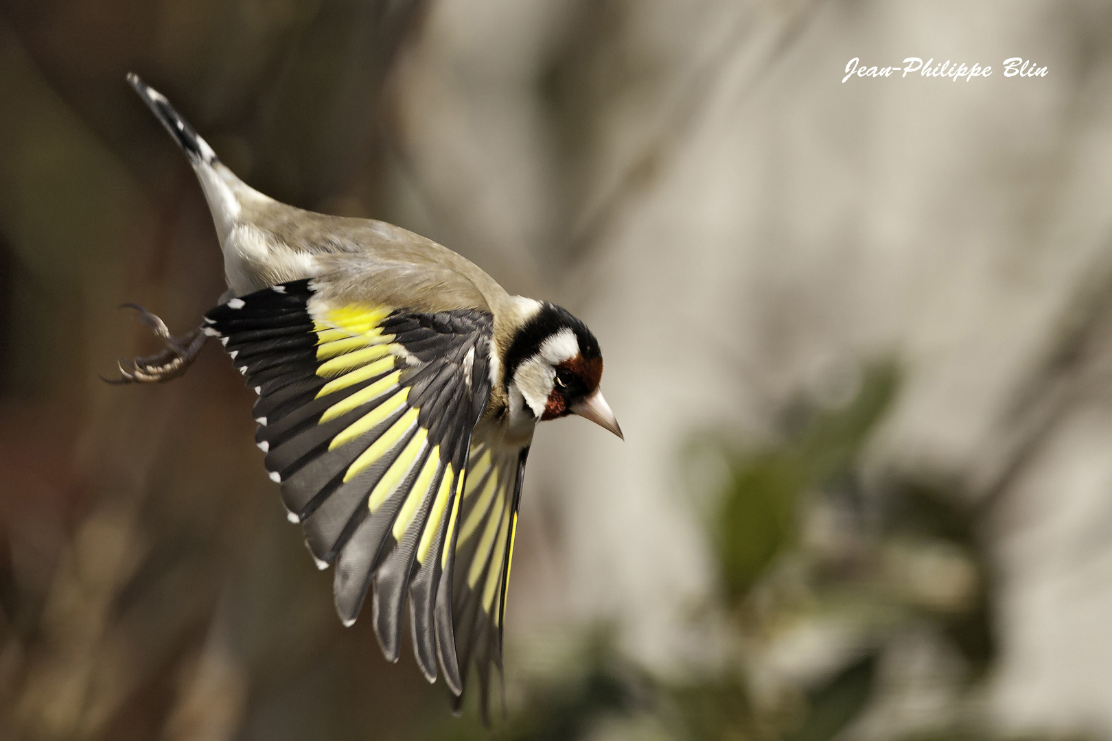 Le saut de l'ange...