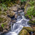 le saut des cuves (vosges 88)