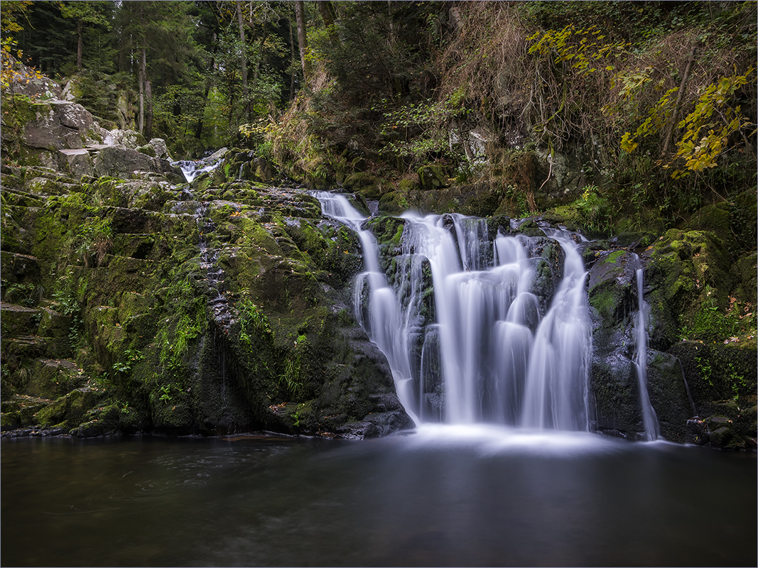 le saut du bouchot