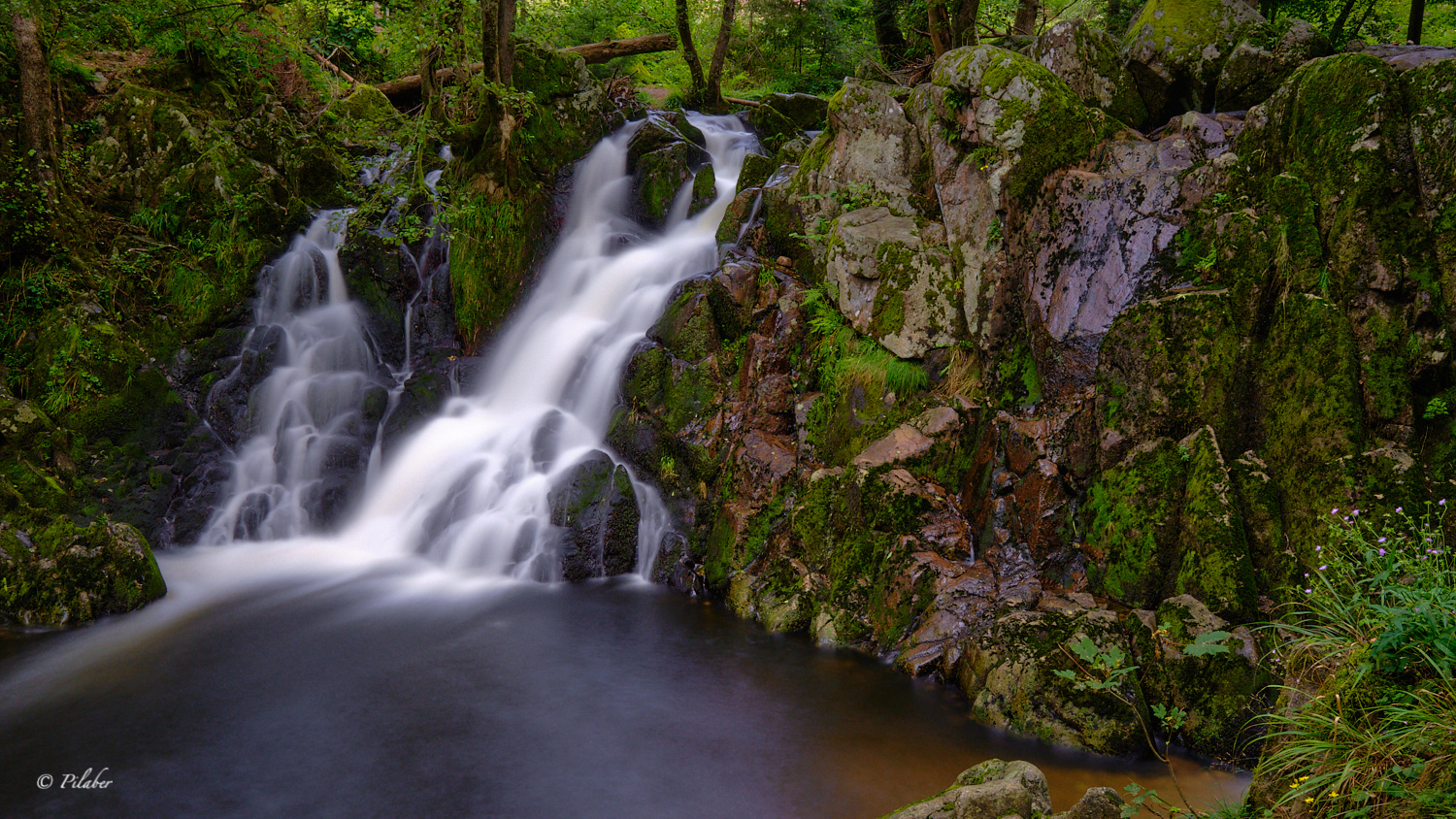 Le saut du Bouchot