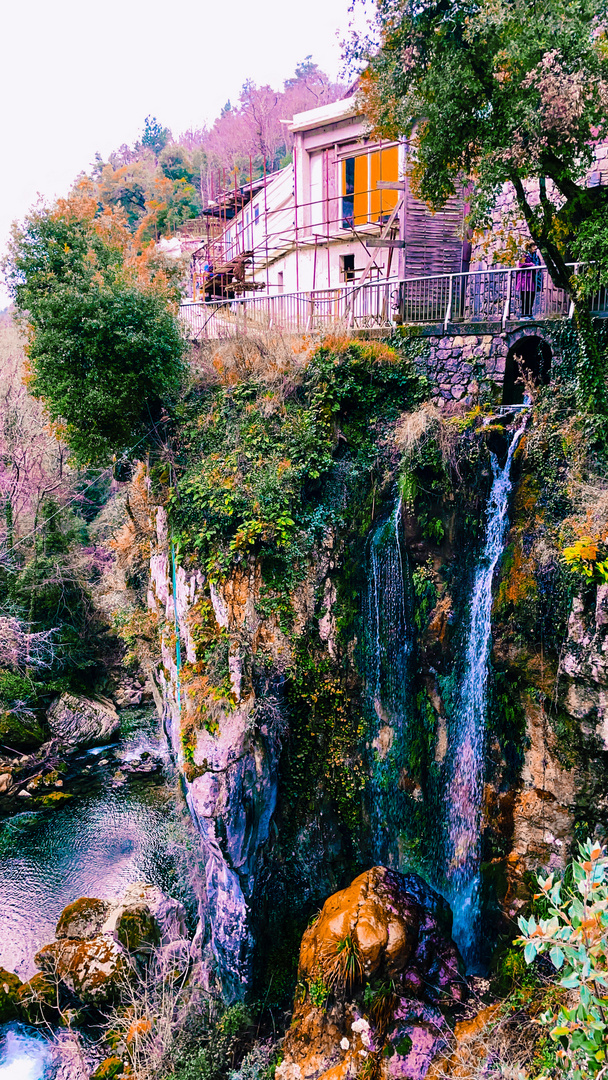 Le saut du loup