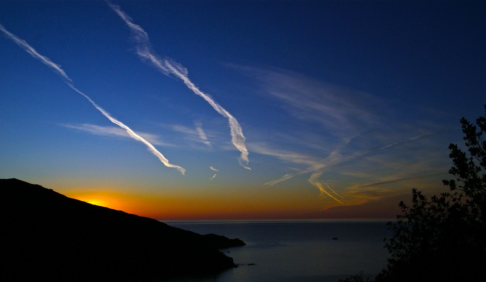 le scie