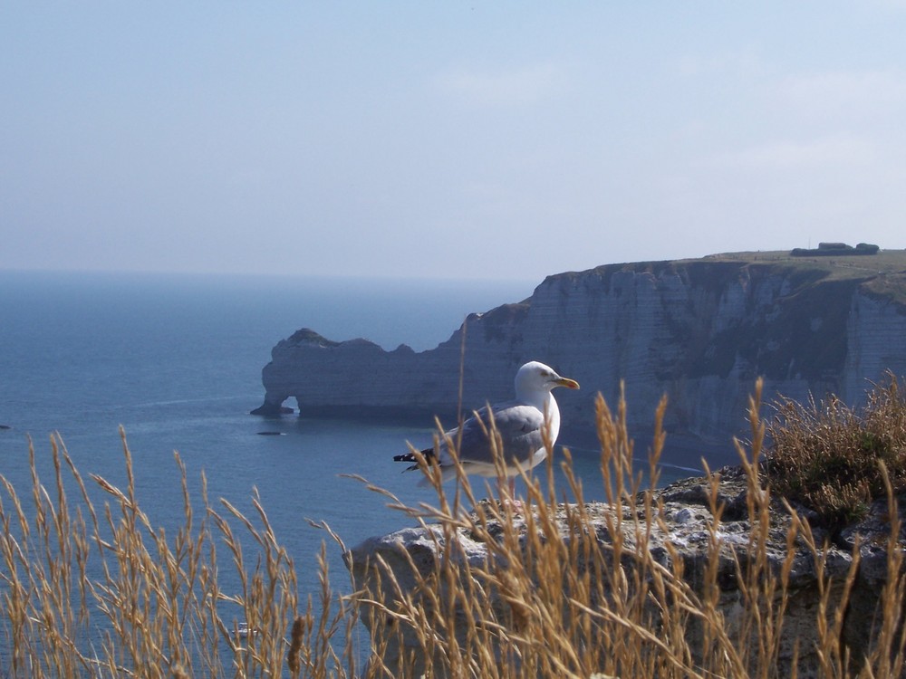 Le scogliere di Etretat