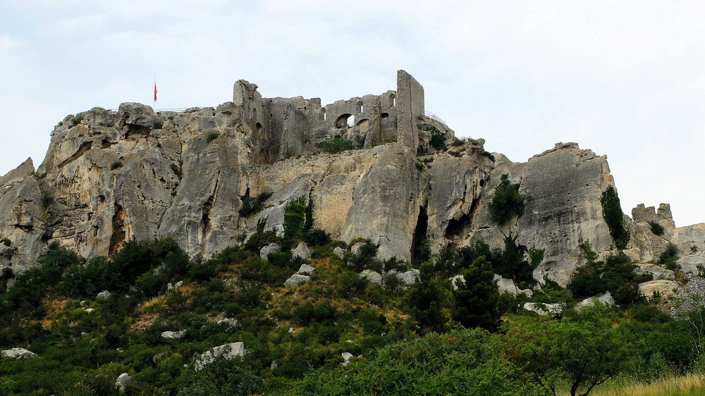 Le seigneur du château...