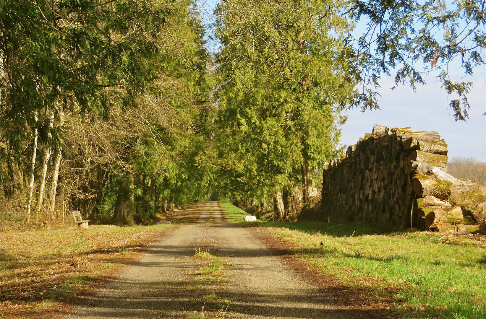 ... le sentier !!!...