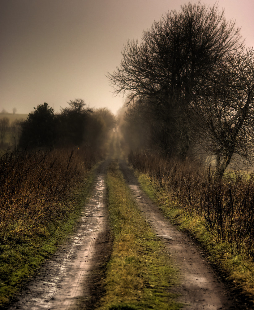 Le sentier d' Orcival, en Auvergne