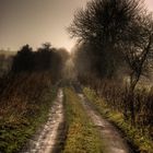 Le sentier d' Orcival, en Auvergne