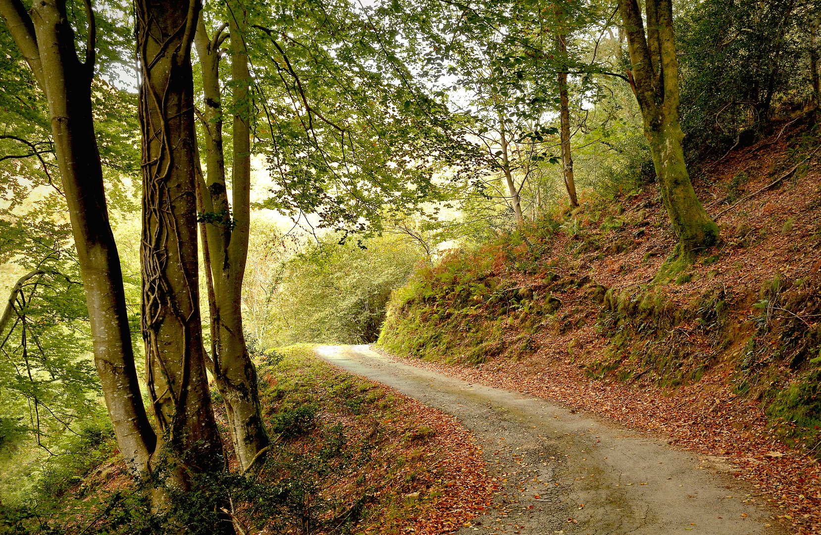 Le sentier des douaniers