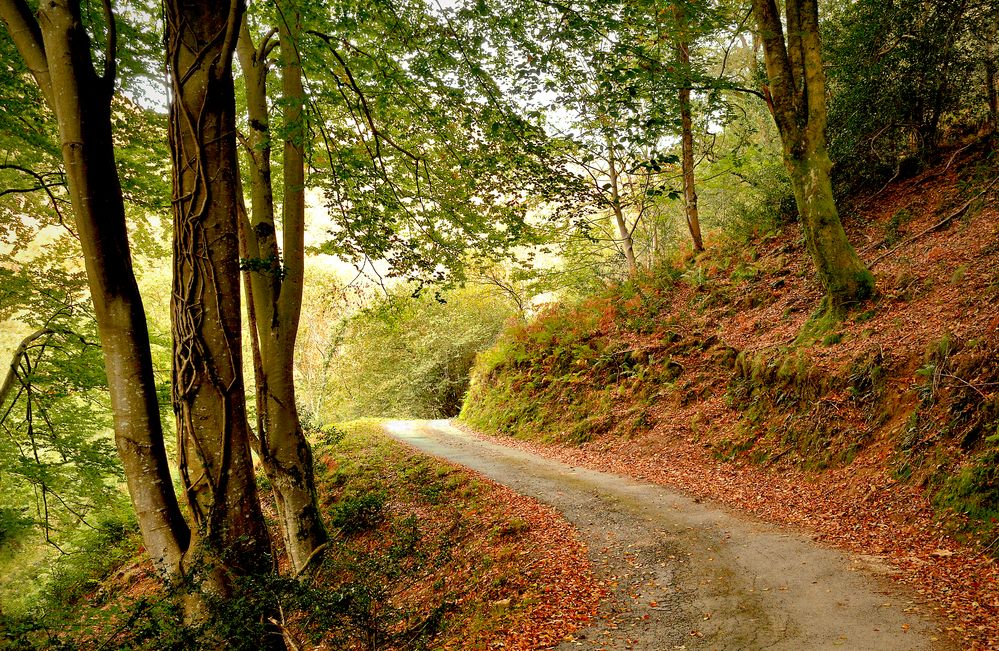 Le sentier des douaniers