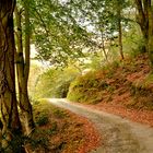 Le sentier des douaniers