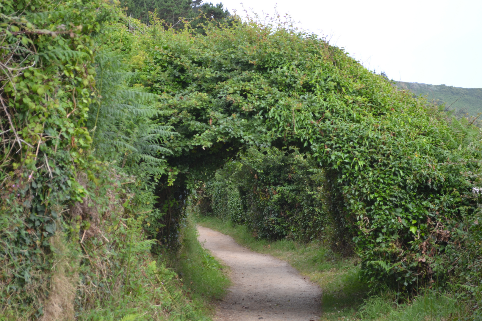 Le sentier des douaniers