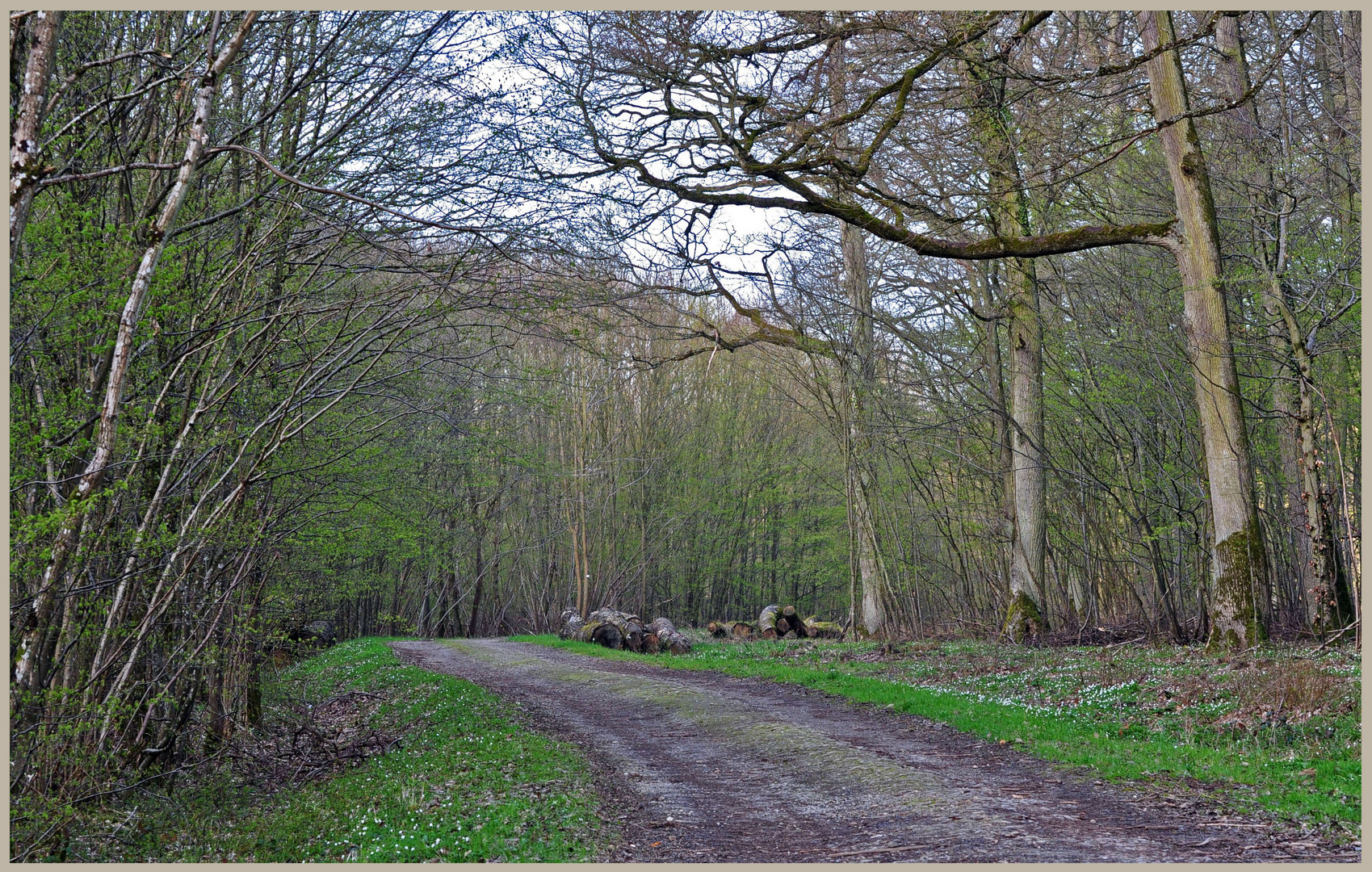 Le sentier des randonneurs.