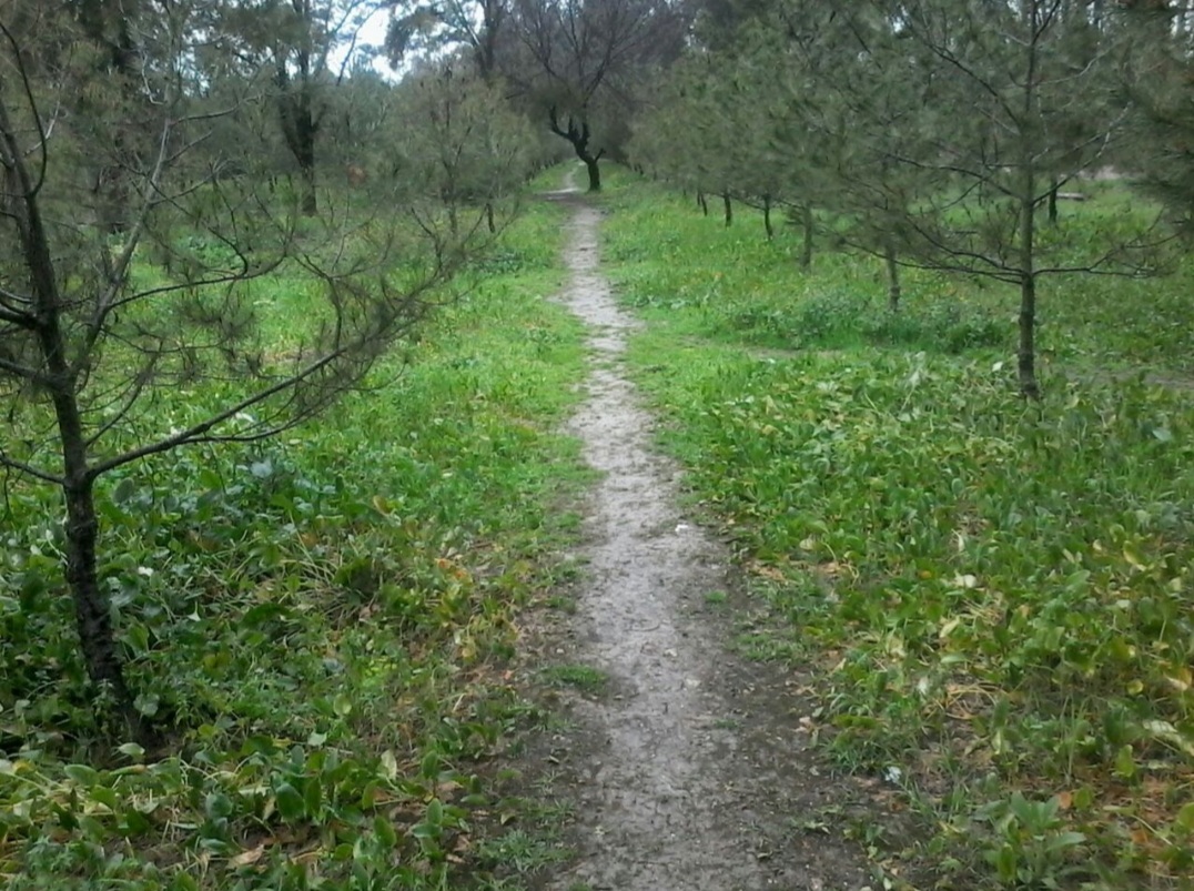 Le sentier inconnu. 