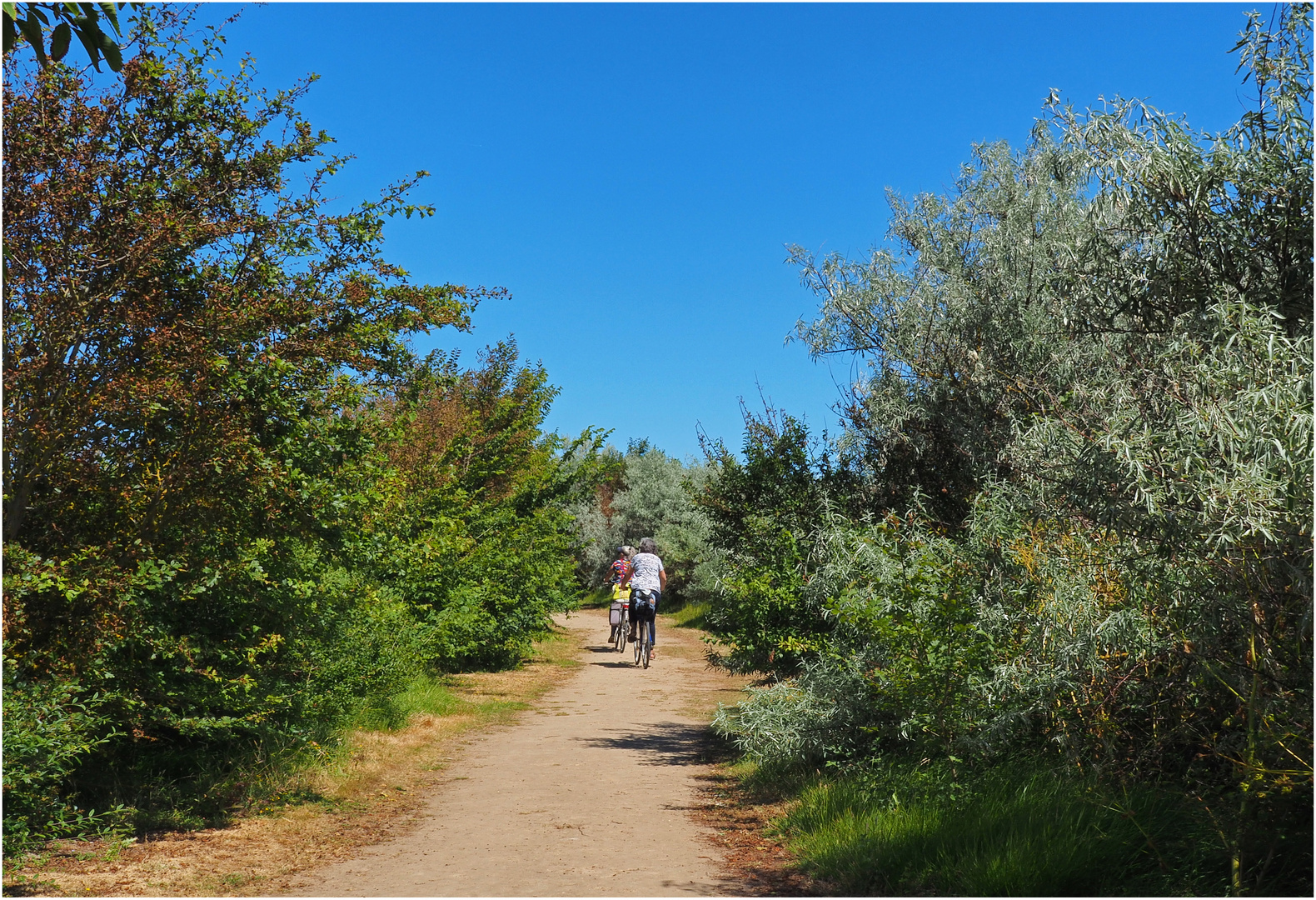 Le sentier qui fait le tour de l’île