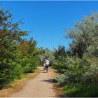 Le sentier qui fait le tour de l’île