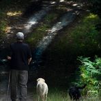 Le Sentier © Tous droits réservés