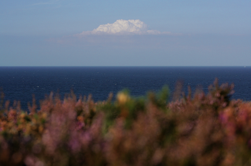 Le seul nuage