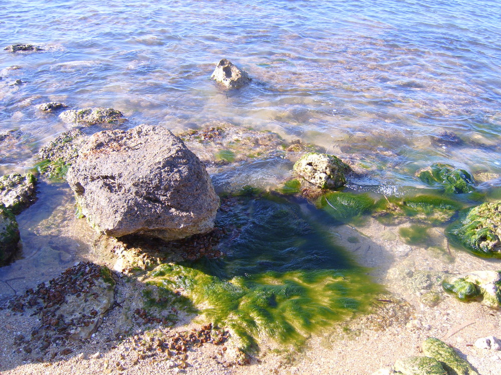 le sfumature del mare