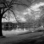 LE SILENCE AU BORD DU LAC