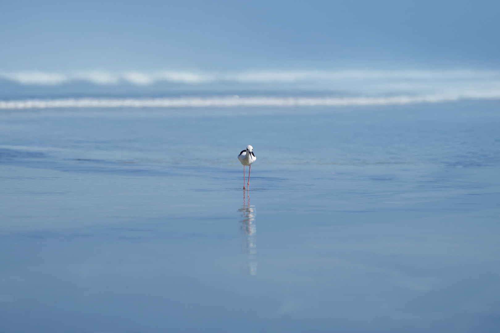 Le Silence de la mer