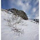 le silence de la montagne ..