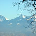 Le silence de la montagne est encore plus beau lorsque les oiseaux se sont tus. 	[Taisen Deshimaru